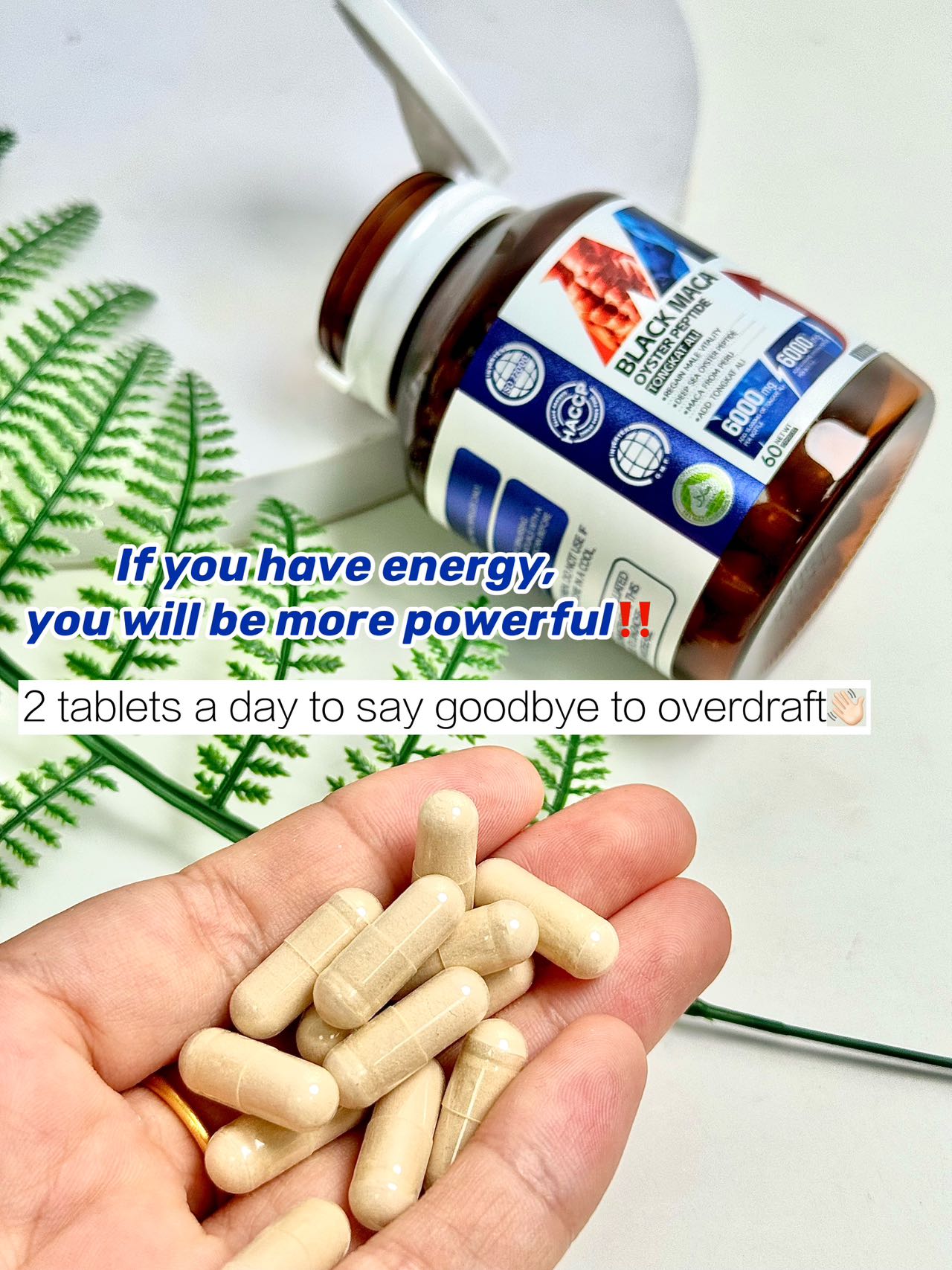 DHOP-BLACK MACA OYSTER PEPTIDE TONGKAT ALI Capsule