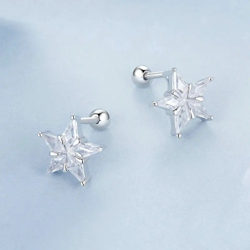 [STREET]Platinum Plated Cubic Zirconia Earrings